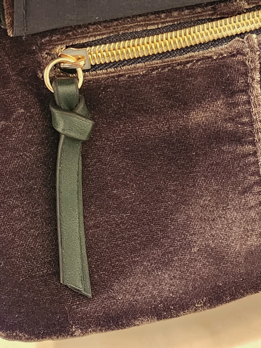 (Free With Purchase) Velvet Toiletry Crossbody Bag In Deep Olive Brown